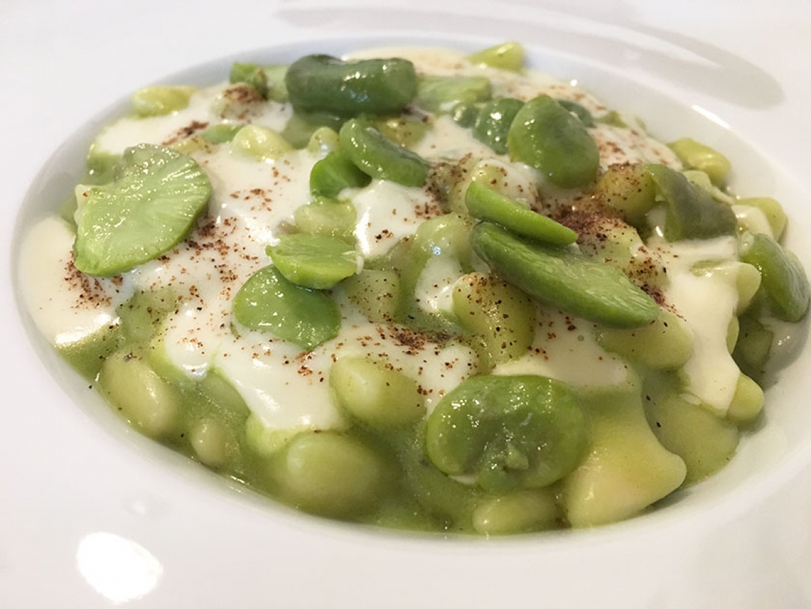 Gnocchetti con fave, fonduta di pecorino e guanciale